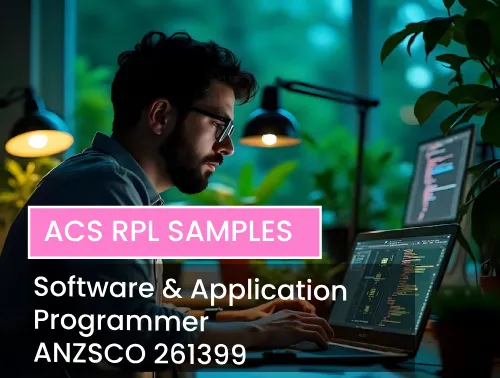 Software and application programmer