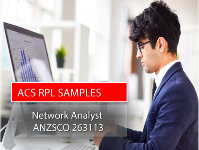 Network Analyst