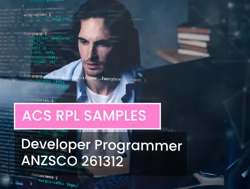 Developer Programmer