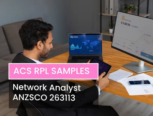 Network Analyst