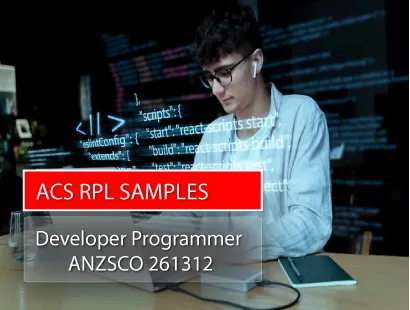 Developer-Programmer